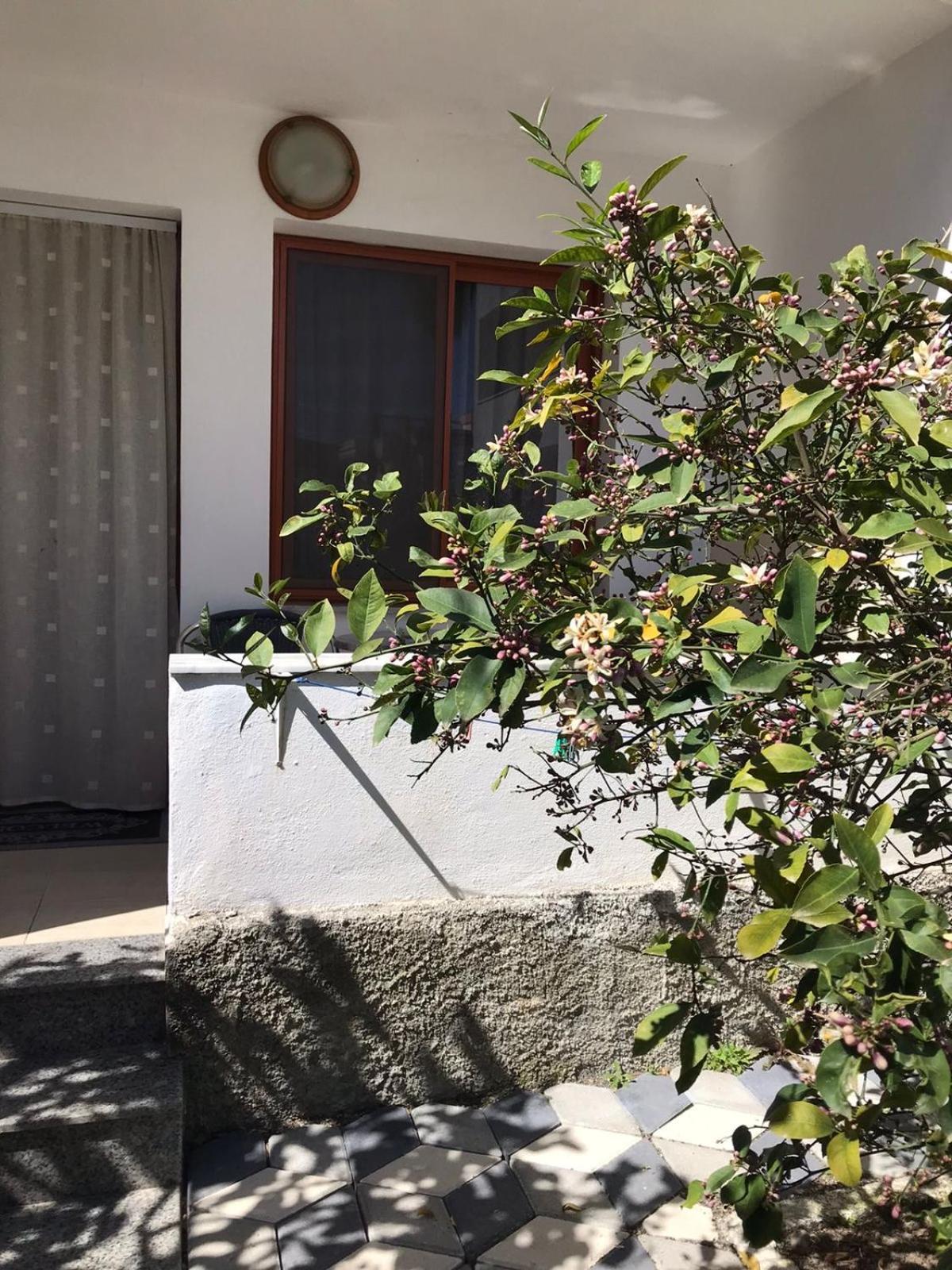 Vila Cano Otel Dıraç Dış mekan fotoğraf